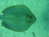 Egipt_2007
