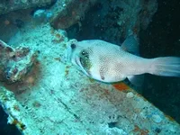 Egipt_2010